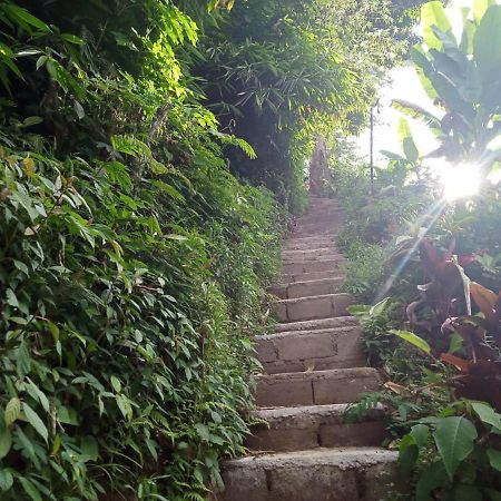 Jungleadventure Cabin Camping Bedugul  Exteriér fotografie