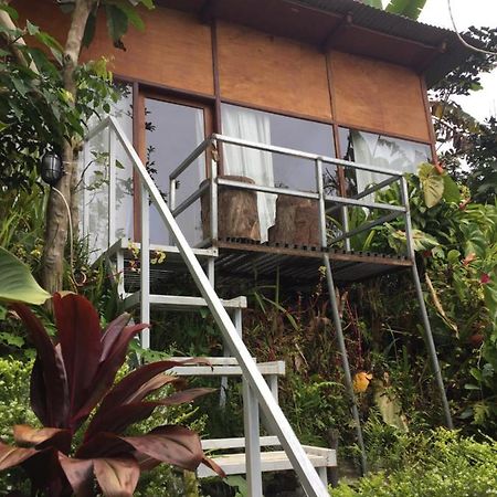 Jungleadventure Cabin Camping Bedugul  Exteriér fotografie