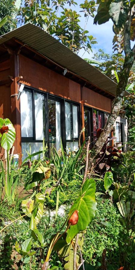 Jungleadventure Cabin Camping Bedugul  Exteriér fotografie